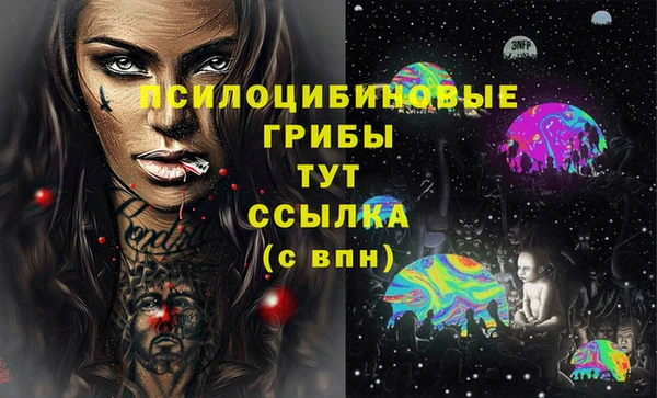 2c-b Верея